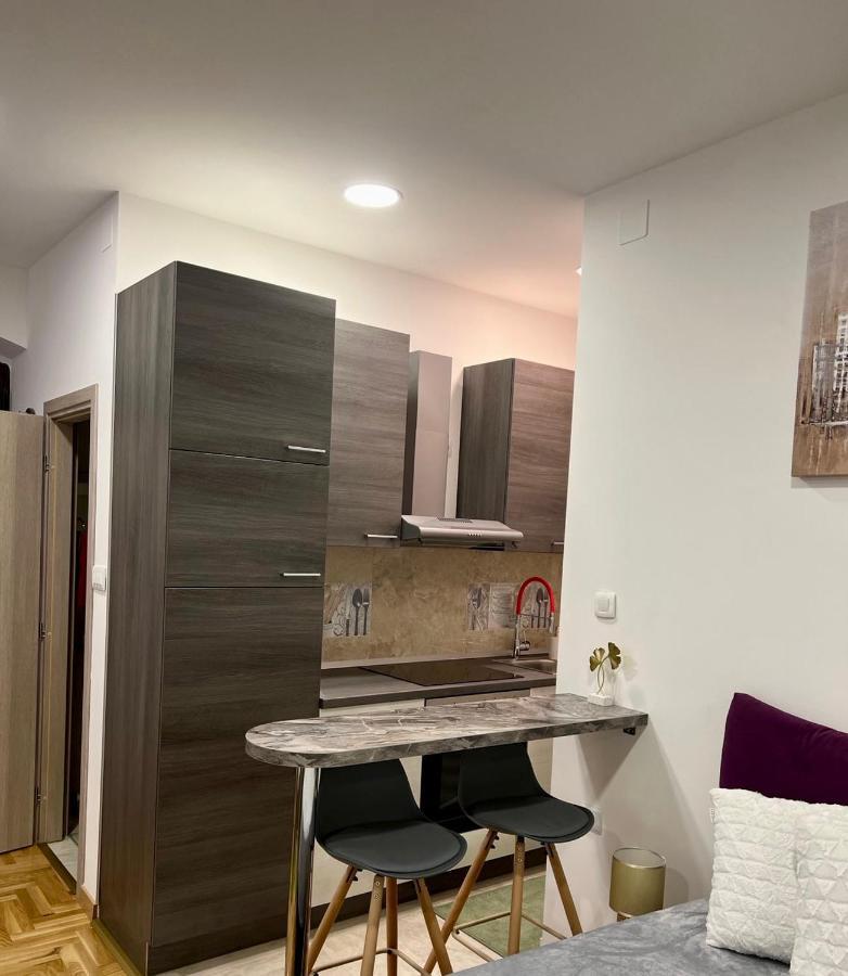 Sweet Studio Apartment Living In Rijeka Exterior foto
